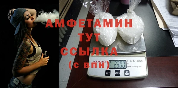 прущие грибы Абинск