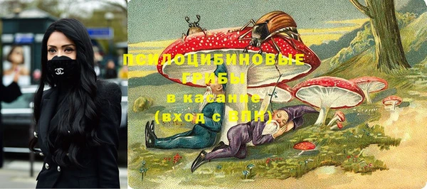 хмурый Абаза
