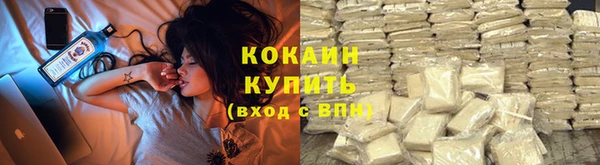 хмурый Абаза