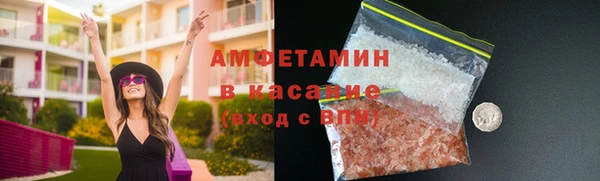 прущие грибы Абинск