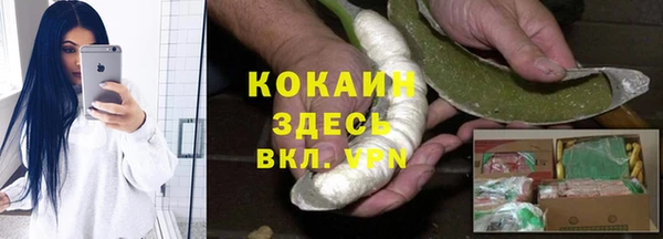прущие грибы Абинск