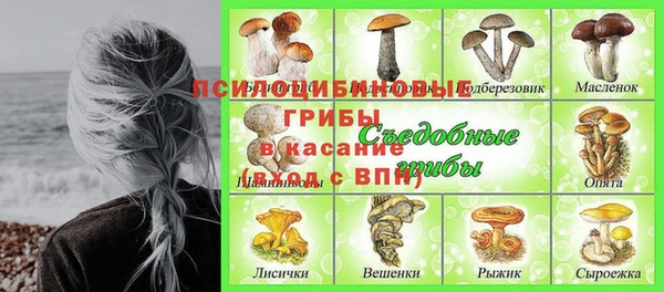 МДПВ Алексин
