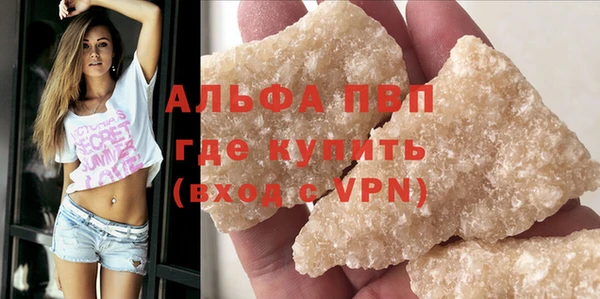 хмурый Абаза