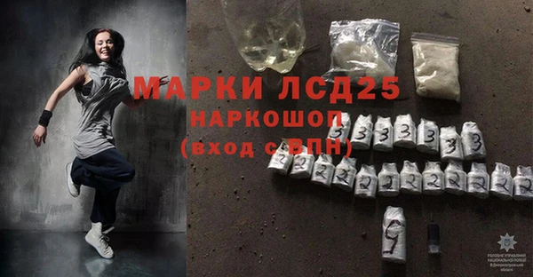 хмурый Абаза