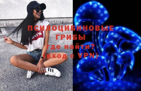 прущие грибы Абинск