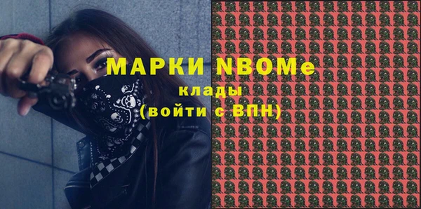 хмурый Абаза