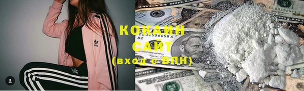 хмурый Абаза
