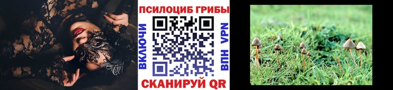 Галлюциногенные грибы мицелий  Цимлянск 